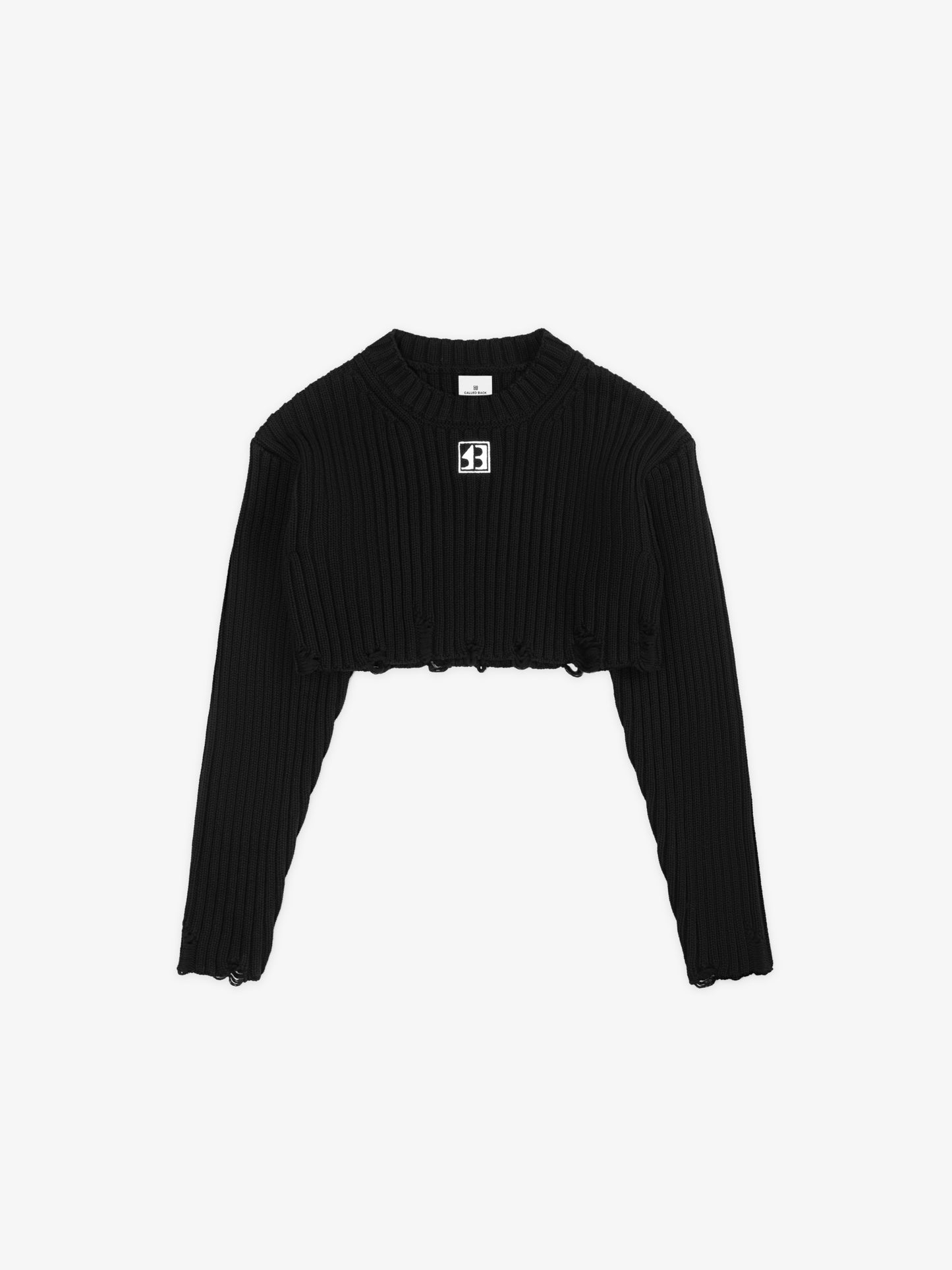 Core Logo Distressed Cropped Sweater